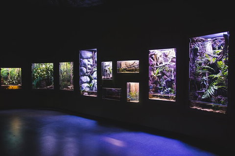 Cairns Aquarium By Twilight With 3 Course Dinner - Kawana Tourism 3