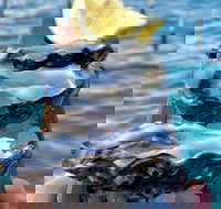 Coffin Bay Oysters Ocean  Nature Tour