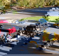 Ultimate Barossa Adventure Day Tour For 2 - Combined Mustang Convertible-Trike - Kawana Tourism