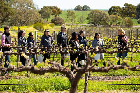 Walk, Taste, Graze - Experience At Pindarie - Kawana Tourism 2