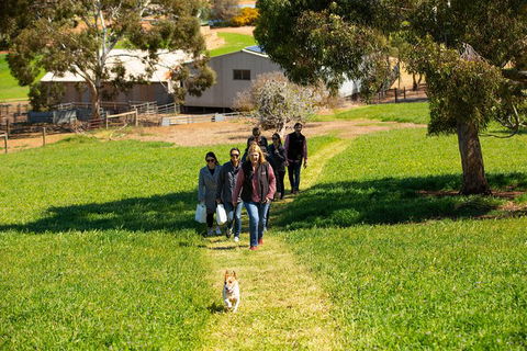 Walk, Taste, Graze - Experience At Pindarie - Kawana Tourism 7