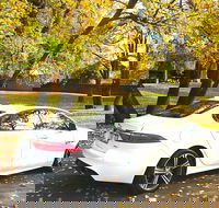 Luxury Jaguar Barossa Valley Half Day Private Tour For 2 - Kawana Tourism