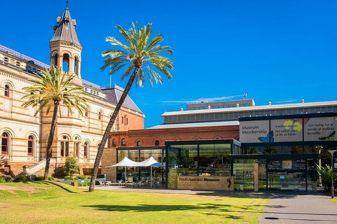 Arrival Private Transfers: Adelaide Airport ADL To Adelaide In Luxury Van - Kawana Tourism 5