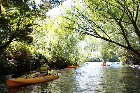 Paddle With The Platypus Twilight Kayak Adventure - Kawana Tourism 0