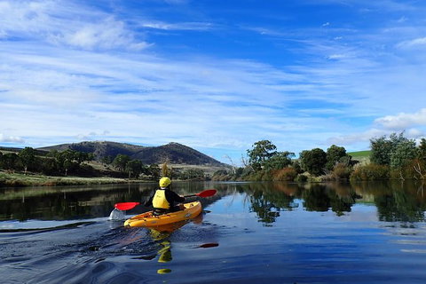 Paddle With The Platypus Twilight Kayak Adventure - Kawana Tourism 5