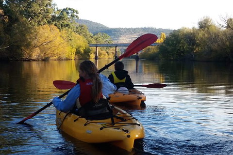 Paddle With The Platypus Twilight Kayak Adventure - Kawana Tourism 1