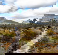 Cradle Mountain Day Tour - Kawana Tourism