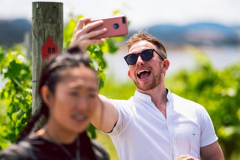 Tasmanian Wine Tour - Kawana Tourism 2