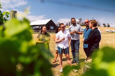 Tasmanian Wine Tour - Kawana Tourism 4