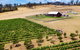 Tasmanian Wine Tour - thumb 7
