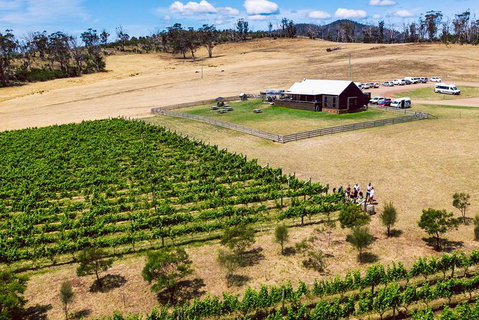 Tasmanian Wine Tour - Kawana Tourism 7