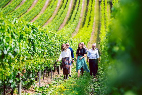 Tasmanian Wine Tour - Kawana Tourism 0