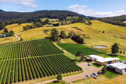 Tasmanian Wine Tour - Kawana Tourism 11
