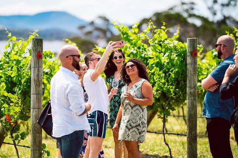 Tasmanian Wine Tour - Kawana Tourism 3