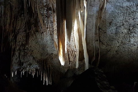 Shore Excursion: Coast, Caves And Wildlife Park - 8 Hour Tour - Kawana Tourism 10