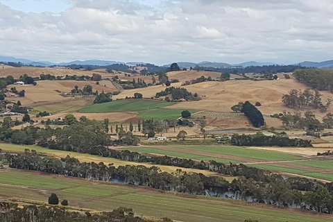 Shore Excursion: Coast, Caves And Wildlife Park - 8 Hour Tour - Kawana Tourism 4