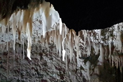 Shore Excursion: Coast, Caves And Wildlife Park - 8 Hour Tour - Kawana Tourism 21