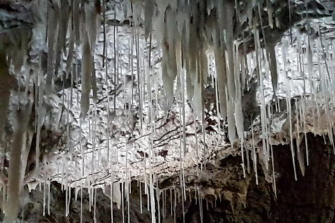 Shore Excursion: Coast, Caves And Wildlife Park - 8 Hour Tour - Kawana Tourism 15