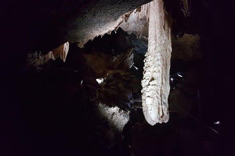 Shore Excursion: Coast, Caves And Wildlife Park - 8 Hour Tour - Kawana Tourism 12