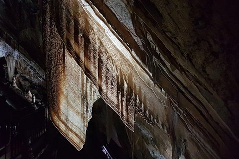 Shore Excursion: Coast, Caves And Wildlife Park - 8 Hour Tour - Kawana Tourism 20