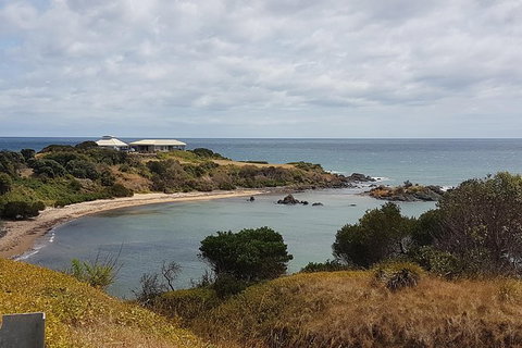 Shore Excursion: Coast, Caves And Wildlife Park - 8 Hour Tour - Kawana Tourism 0