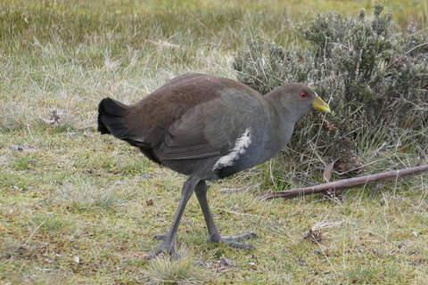 Shore Excursion: Coast, Caves And Wildlife Park - 8 Hour Tour - Kawana Tourism 2