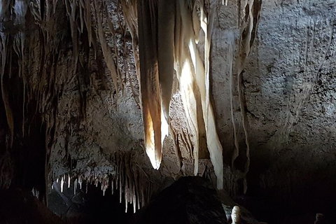 Shore Excursion: Coast, Caves And Wildlife Park - 8 Hour Tour - Kawana Tourism 7