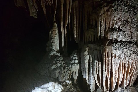 Shore Excursion: Coast, Caves And Wildlife Park - 8 Hour Tour - Kawana Tourism 8