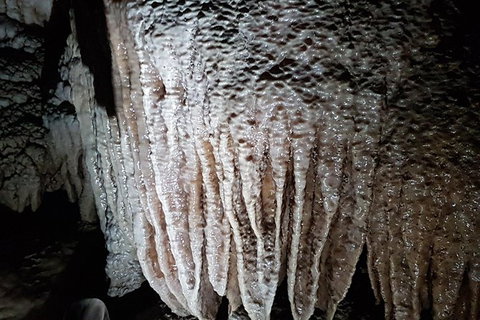 Shore Excursion: Coast, Caves And Wildlife Park - 8 Hour Tour - Kawana Tourism 13