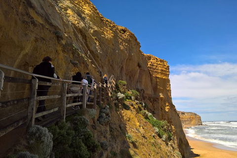 Private Express Experience - 12 Apostles - Kawana Tourism 15