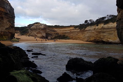 Private Express Experience - 12 Apostles - Kawana Tourism 3