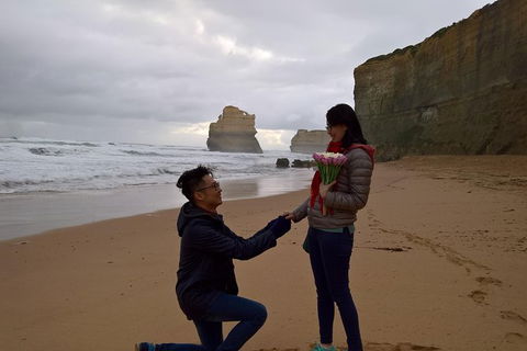 Private Express Experience - 12 Apostles - Kawana Tourism 17