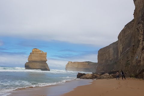 Private Express Experience - 12 Apostles - Kawana Tourism 4
