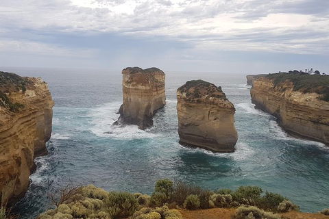 Private Express Experience - 12 Apostles - Kawana Tourism 16