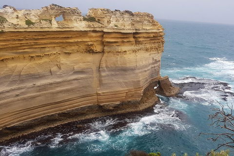 Private Express Experience - 12 Apostles - Kawana Tourism 22