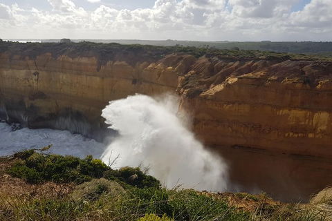 Private Express Experience - 12 Apostles - Kawana Tourism 11