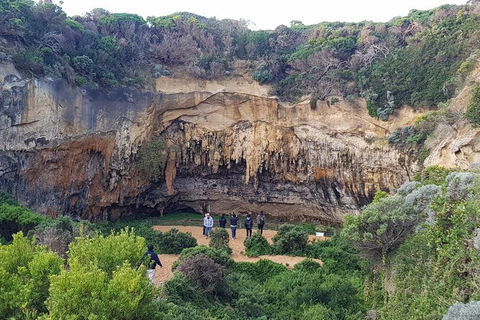 Great Ocean Road Full Day Private Experience - Kawana Tourism 7
