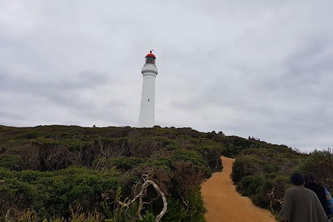 Great Ocean Road Full Day Private Experience - Kawana Tourism 20