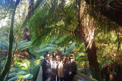 Great Ocean Road Full Day Private Experience - Kawana Tourism 28