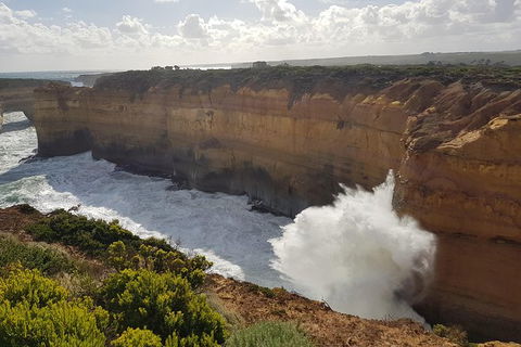 Great Ocean Road Full Day Private Experience - Kawana Tourism 1