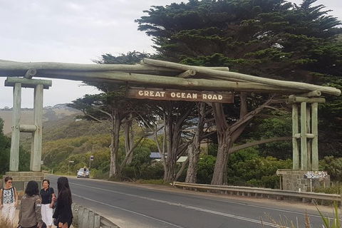 Great Ocean Road Full Day Private Experience - Kawana Tourism 12