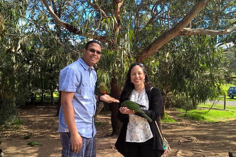 Great Ocean Road Full Day Private Experience - Kawana Tourism 2
