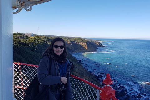 Great Ocean Road Full Day Private Experience - Kawana Tourism 24