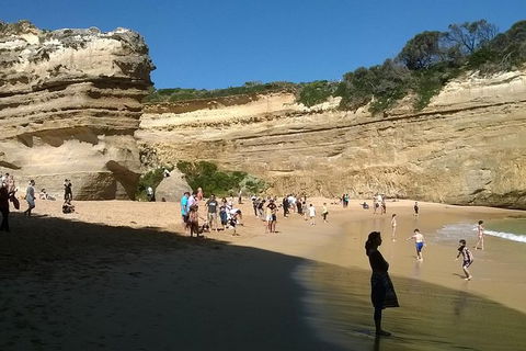 Great Ocean Road Full Day Private Experience - Kawana Tourism 17