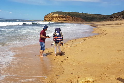 Great Ocean Road Full Day Private Experience - Kawana Tourism 10