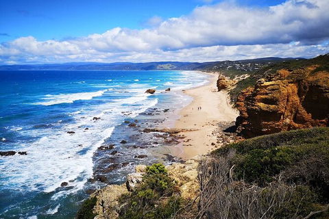 Split Point Lighthouse Tours - Kawana Tourism 2