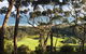 Overnight Great Ocean Road Tour From Melbourne - thumb 3