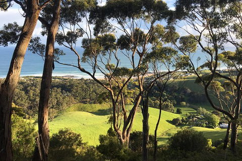 Overnight Great Ocean Road Tour From Melbourne - Kawana Tourism 3
