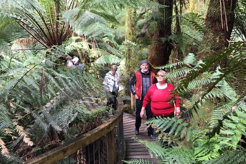 Overnight Great Ocean Road Tour From Melbourne - Kawana Tourism 2