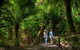 The Great Ocean Road Private 1 Day Tour - thumb 2
